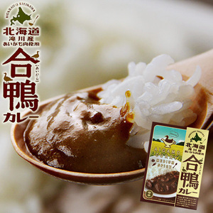 合鴨カレー180g×2個セット(中辛)北海道滝川産あいがも肉を味わい深いルーに入れて煮込みました(レトルトカレー アイガモ ご当地カレー