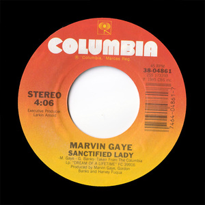 7"）Marvin Gaye マーヴィン・ゲイ/Sanctified Lady