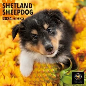 新品 シェットランド・シープドッグ PICTWAN (ピクトワン) カレンダー DOG 【S版】 2024年カレンダー24CL-50042S