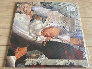 THEO PARRISH 3LP「WUDDAJI」セオ・パリッシュ Moodymann