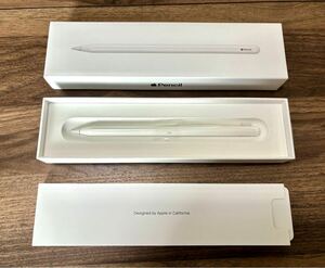 【本体・箱・美品】Apple Pencil (第2世代) 芯先新品に交換済 アップルペンシル アップル A2051 第二世代