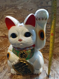 常滑焼　 招き猫 陶器 縁起物　左白１３号