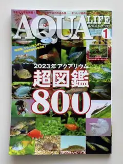 AQUA LIFE 2023年1月号「アクアリウム超図鑑800」