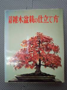 た2-f07【匿名配送・送料込】図解 雑木盆栽の仕立て方　ガーデンライフ編　樹種別仕立て方　誠文堂新光社