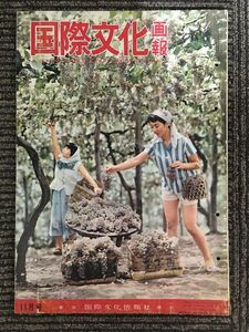 国際文化画報　昭和33年11月号　