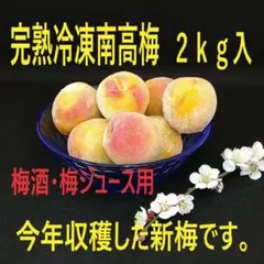 完熟冷凍南高梅2ｋｇ入