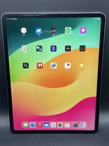 ★【同梱不可】中古品 本体交換品 SoftBank Apple iPad Pro 12.9インチ 第4世代 128GB Wi-Fi+Cellular スペースグレイ NY3C2J/A 判定〇