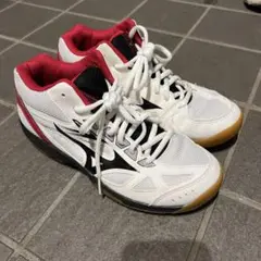 Mizuno cyclonespeed2バレーボールシューズ　24.0