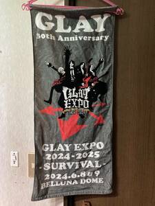 GLAY EXPO　イラストタオル　送料185円　35ｃｍ×85ｃｍ