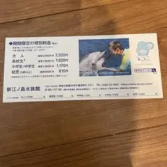 新江ノ島水族館　割引券