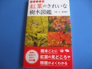 紅葉のきれいな樹木図鑑　ポケット版