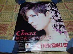 ■　ガクト　Gackt　【　野に咲く花のように　ポスター　】　 ※管理番号745