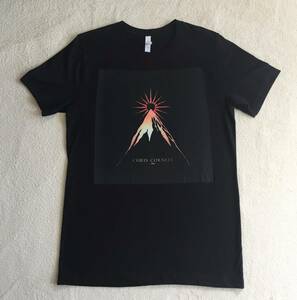 ◆Chris Cornell Tシャツ Higher Truth クリスコーネル Soundgarden Audioslave サウンドガーデン オーディオスレイヴ