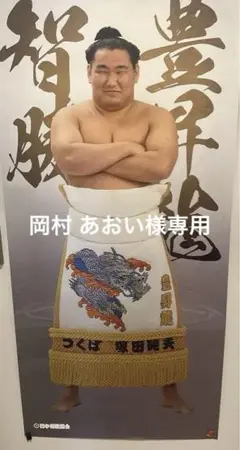 豊昇龍 立浪部屋 大相撲 ビックサイズポスター