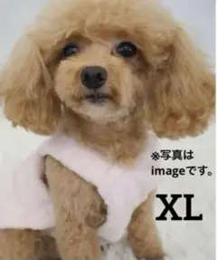 ベージュXL ペット用品　服　ふわふわ　モコモコ　犬　おしゃれ　可愛い