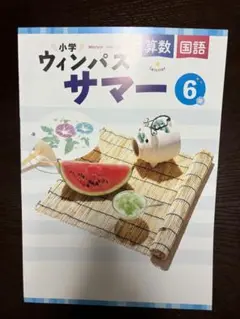 小学ウィンパスサマー小6国語算数