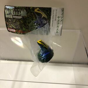 原色両生類カエル図鑑 アイゾメヤドクガエル