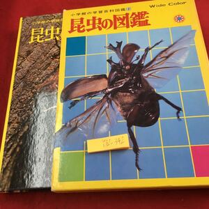 Y32-342 昆虫の図鑑 小学館の学術百科図鑑2 ワイドカラー 箱付き 昭和60年発行 チョウ ガ カブトムシ ハエ ハチ カメムシ セミ など