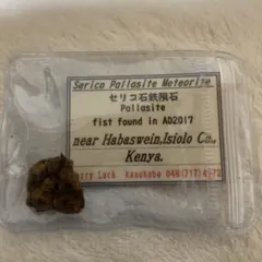 セリコ石鉄隕石（ケニア）