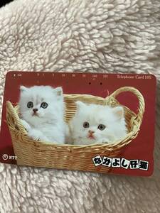 テレフォンカード・ねこ2匹（使用済み）猫・ネコ・テレカ