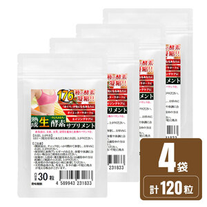 ナチュラル化 熟成 生酵素 1袋30粒 4袋セット計120粒　約4ヵ月分 合計176種類 野草酵素サプリメント ソフトカプセル