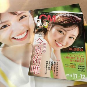 ＣＭ ＮＯＷ (ｖｏｌ．１９５ ２０１８年１１‐１２月号) 隔月刊誌／玄光社　欅坂46 浜辺美波