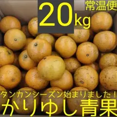 ＪＡおきなわ共撰タンカン優品 約20kg【常温便】①