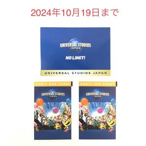 未使用 大人2枚 USJ ユニバーサルスタジオジャパン フリーデイト・パス 有効期限2024年10月19日 チケット 