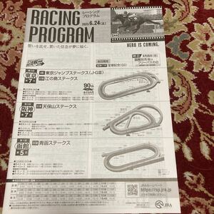 JRAレーシングプログラム2023.6.24(土)東京ジャンプステークス(J・GⅢ)、江の島ステークス、天保山ステークス、青函ステークス