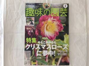 NHKテキスト 趣味の園芸 2025年2月号