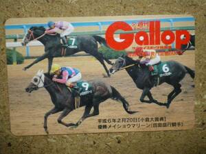 I1895・Gallop　メイショウマリーン　競馬　テレカ