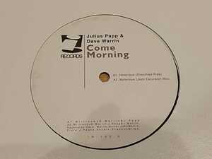i Records Julius Papp & Dave Warrin/Come Morning