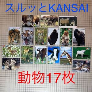 使用済み　スルッとKANSAI 動物17種　ラガール　レインボー　ラクヤン　都