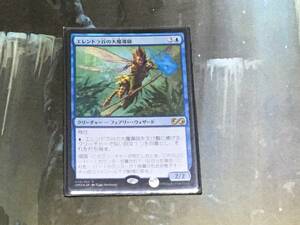 MTG エレンドラ谷の大魔導師/Glen Elendra Archmage Foil 日 1枚迄 UMA