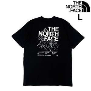 1円～!売切!【正規新品】THE NORTH FACE S/S NOVELTY GRAPHIC TEE 半袖 Tシャツ US限定 男女兼用 アウトドア バックプリント(L)黒180902-15