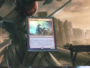 MTG 戦慄衆の秘儀術師/Dreadhorde Arcanist Foil 日 1枚迄