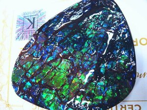 化石 アンモライト AAAジェムグレード！青、紫！寒色！オパールの様な発色！神秘的 ジュエリー 宝石 化石 原石 鉱物 標本 観賞石