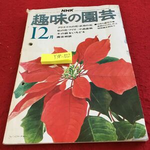 Y38-322 NHK 趣味の園芸 12月号 昭和49年発行 クリスマスの花・正月の花 私の花づくり 小品盆栽 冬の庭をいろどる 園芸作業 など