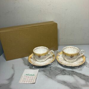 K2411-3049 Noritake トゥルーラヴ ティー/コーヒー碗皿 カップ&ソーサー ペアー Y6787/9438 未使用品 元箱あり 80サイズ発送予定 