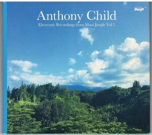 Anthony Child「Electronic Recordings From Maui Jungle Vol.2」CD 送料込 Surgeoon