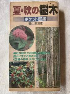 夏・秋の樹木　400種の見分け方と樹肌40種　ポケット図鑑　 平成6年7月20日発行 菱山忠三郎　主婦の友生活シリーズ