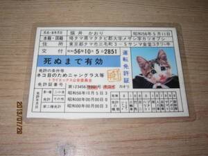 元祖 なめ猫 なめんなよ◆昭和当時もの 免許証 免許 なめねこグッズ在庫1000 昭和レトロ 新品未使用