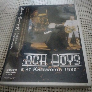 ビーチボーイズ BEACH BOYS ライヴアットネブワース1980 LIVE AT KNEBWORTH 1980