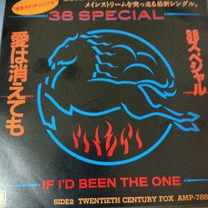 38スペシャル　38special 愛は消えても　if i