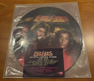 US オリジナル・ピクチャー・レコード Bee Gees “Sprits Having Flown” 【preowned/中古★盤質EX】