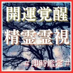 即時鑑定　仕事運　開運　開業　事業運　転職　人間関係　占い　霊視　精霊術