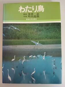 わたり鳥　渡り鳥　吉井 正　叶内 拓哉　東海大学出版会　【即決】