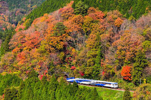 鉄道 デジ 写真 画像 奥出雲おろち号 木次線 18