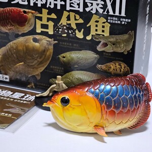 動物の惑星 アロワナ(藍底過背金龍)シークレット フィギュア 魚