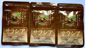 サラシア 約3ヵ月分 サプリメント 炭水化物 ダイエット 菊芋 健康食品シードコムス